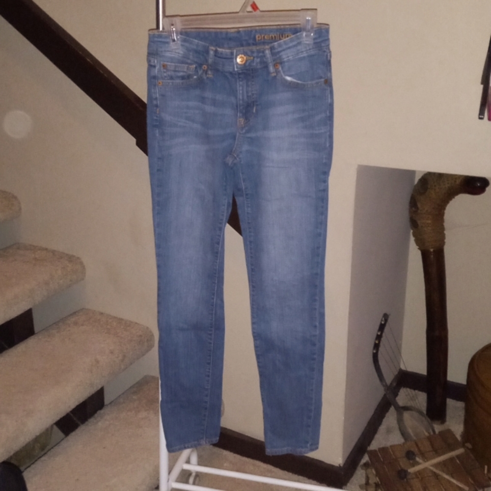 Gap Premium Skinny Jeans